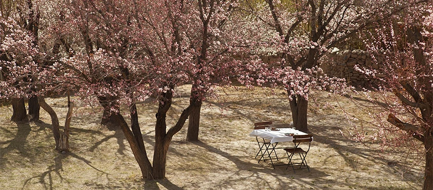 Kumaon Himalayan Retreat 3